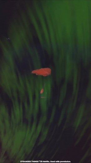 SANTA CRUZ x STRANGER THINGS @santacruzskateboards gets twisted with the Upside Down once again! In celebration of the highly anticipated final chapter of @strangerthingstv the crew team up once more for an epic collection of OG Santa Cruz graphics with a dark twist and glow in the dark features. Shop the limited edition drop of boards and wheels in-store and online now! | Boardertown