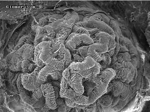 How to sync audio with powerpoint slides and make a video