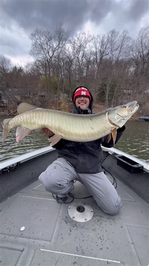Dkam Fishing (NJ) on Instagram: "MONSTER FISH almost ESCAPES!! 🫣🫣 When you hook a huge musky, almost nothing goes according to plan. Thankfully, luck was on our side… THE GEAR: Reel: @piscifun_official Alijoz 400 Rod: @tackle_industries 9ft Telescopic Rod Bait: 10 inch @spraybombbaitco // #musky #muskyfishing #muskie #pike #northernpike #esox #predatorfishing #pikefishing #pesca #fiske #bassfishing #bigbass #giantbass #fishing #pondfishing #fishon #fishinglife #fishingdaily #fishinglures #fish