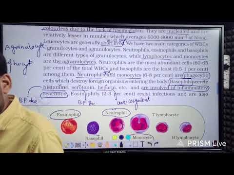 Body fluid and Circulation L1