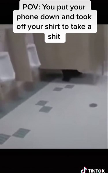 Shirt Off Poop Meme Compilation