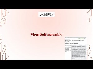 Viral Self-Assembly: From Capsid to Virion