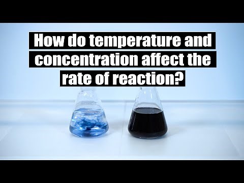 How do Temperature and Concentration Affect the Rate of Reaction?