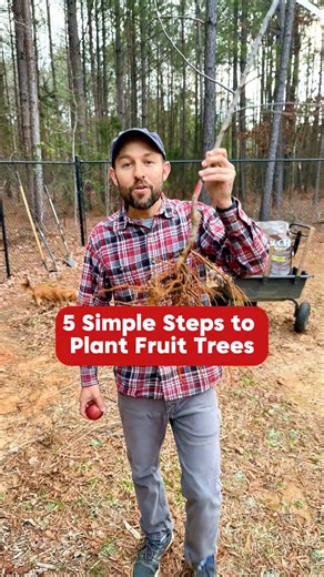 84K views · 1.6K reactions | Check my link in bio to get 20% off your...