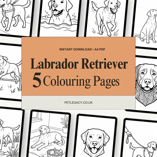 Labrador Retriever Colouring Pages (5 Pack) | Printable Dog Breed Colouring Sheets | Kids & Adults | Instant PDF Download - Etsy