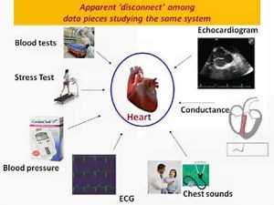 Navigating across multi-scale biological systems using cognitive modeling and systems approaches conceptualized in product engineering - Microsoft Research