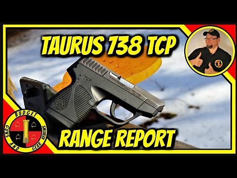 Taurus TCP .380... the Perfect Concealed Carry Companion?