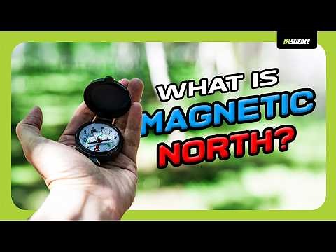 What Is The Magnetic North Pole?