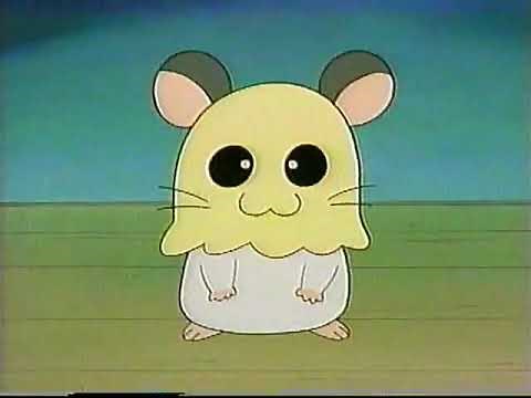 Tottoko Hamutaro Anime Dechu