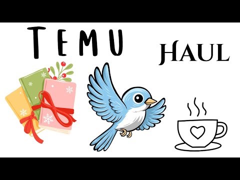 Temu Haul | January 26, 2026