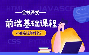 web前端开发-HTML CSS 零基础编程入学宝典 2022新版web前端工程师完整视频教程【枫枫知道】程序员新手必看完整版