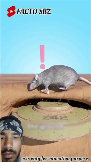 1000 चूहे ए जाए लैंडमार्क पर तो क्या होगा 😱 #facts #animals #factsinhindi #smartphone