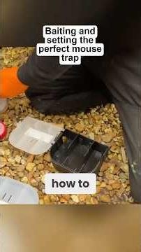 Outside Mice? Here’s how to trap those pesky mice! #mousetrap #mousecontrol #diypestcontrol