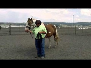 Horse Sheath Cleaning ROTH Natural Horsemanship Style