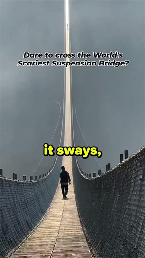 😭 Drop Your Phone and It’s Gone!