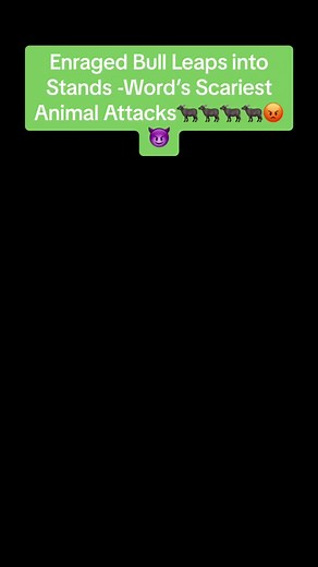 Animal planet Tv (@animalplanettv1)’s videos with original sound - Animal planet Tv