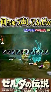 洞窟で良く響く変な声 ティアキン衝撃映像〘341〙 #ゼルダの伝説 #ティアキン #ゲーム実況 #zelda #ゲーム #実況 #衝撃映像 #games