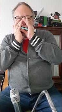 Chromatic harmonica MISIRLOU #harmonica