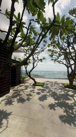 Exploring The View: Emotional Moments and Fun Insights