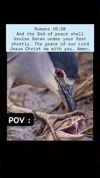 #dailyinspiration #videocredithttps://www.instagram.com/abyssalspace?igsh=MTJkMTRiYzJmcGhibA==