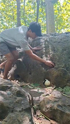 Wow, I got a guinea pig, guys #shortvideo #nature #viral