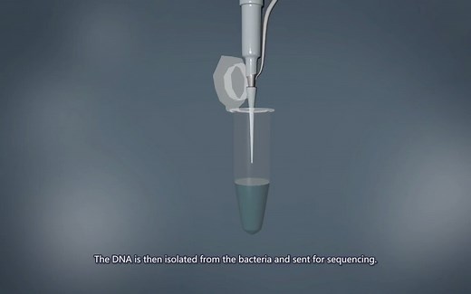 【DNA sequencing-3D animation】DNA测序-3D动画演示 yourgenome 英文字幕