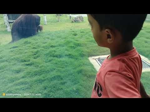 🦁 Mysore Zoo Complete Tour 2024 | Sri Chamarajendra Zoological Gardens