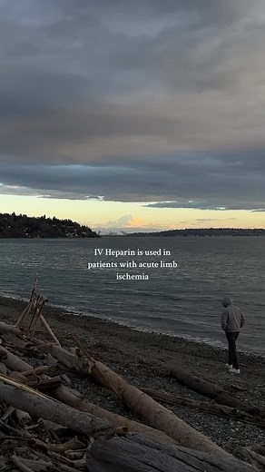 what are the six 🅿️s of acute limb ischemia? 🤨