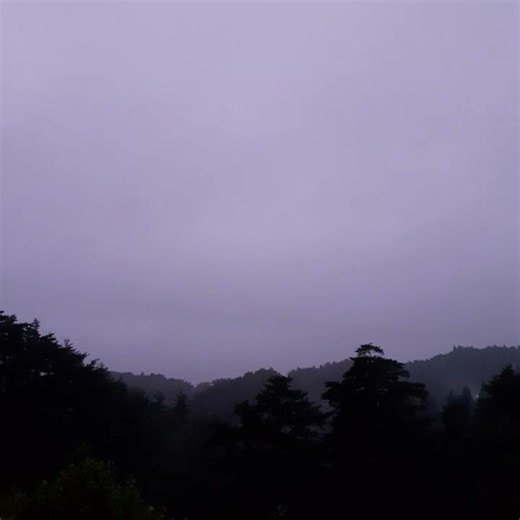 ひな鳥の朝｜2026/08/27（長尺の一部）Baby Birds Morning｜2026/08/27 (Excerpt from Full Video)
