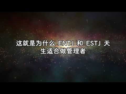 【MBTI硬核科普】荣格八维Te：是冷血暴君还是文明基石？深度解析ENTJ与ESTJ的顶级效率。