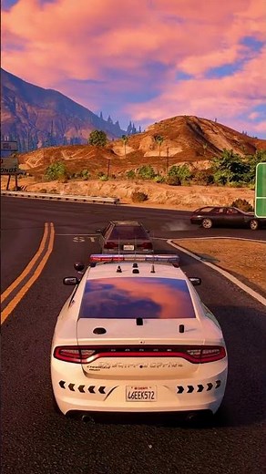 Cop Ambushed During Traffic Stop