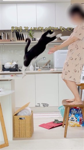 4년동안 훈련과 신뢰가 쌓이면 벌어지는 일 #감동주의