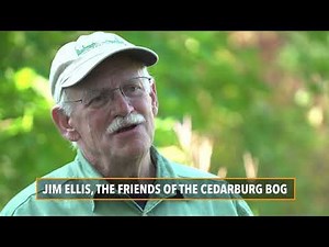 Welcome to the Cedarburg Bog