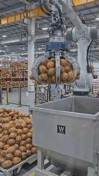 How Coconut Milk Is Made: Automatic Factory Processing & Packaging Line #viral #factory #shorts