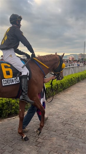 Cordón Del Caulle 🇨🇱, hijo de, Papelón, con el jockey Anyelo Rivera, camino a la pista para el Gran Critérium Mauricio Serrano Palma G1 @hipodromo_chile , sábado, 4 de octubre de 2025. 📹 : @josedanielgilg11 #cordondelcaulle #caballos #chile🇨🇱 #gran #critérium | Hípica Global