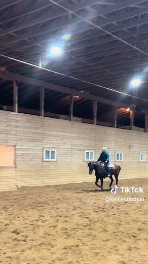 Mastering Sliding Stops in Reining Lessons
