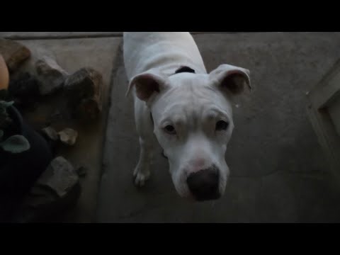 The Book of Isaiah Chapters 32, 33, & 34 from The Holy Bible Catholic Readers Edition #catholic