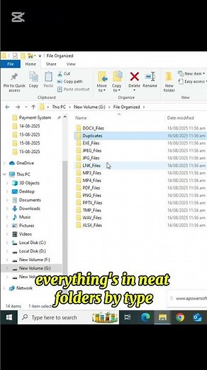 File Organizer Pro 🔥 | Organize Files in Seconds | Smart Productivity Tool#FileOrganizerPro