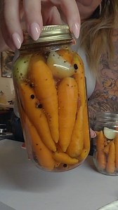 1.9K views · 67 reactions | I'm back!! Now let's make some easy pickled carrots 凌 The flavor of these pickled carrots is fantastic and the crunch is even better. Screenshot the end of the video to save the recipe. #pickledveggies #easyrecipe #pickling #pickledcarrots #imback #recipes #gardentotable #picklerecipe #homesteading | Ellie Bagwell | Facebook