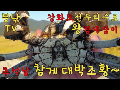 참게낚시 100마리 도전❤ 강화도 선두리수로 참게가 주렁주렁 나옵니다!!