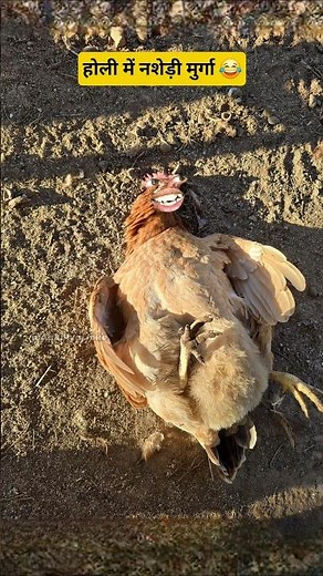 होली में नशेड़ी मुर्गा 🐔 #funny #thetharpuns #aalupyajjoke #comedy