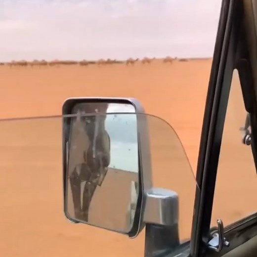 Instagram video by @toster_2.0 • Jun 18, 2021 at 5:30 AM