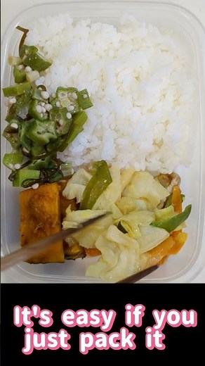 The easy bento I make #food #japan #bento #lunch