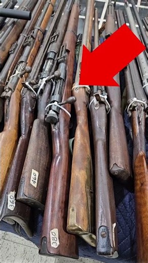 "Sporterized" Milsurps 😡 WHY SO EXPENSIVE?!