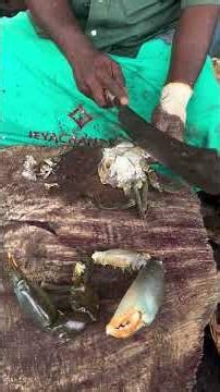 How to Cut Big Mud Crab Easily 🦀🔪 | Amazing Crab Cutting Skills