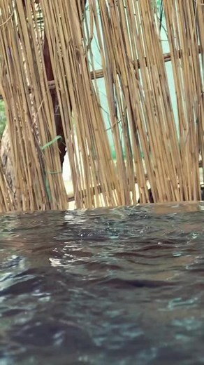 #trending #foryou #typ#typ#typ#😉😃😎😎