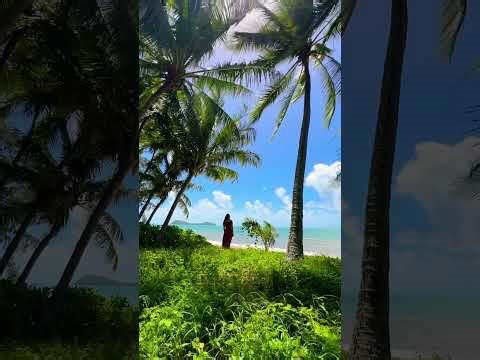 Life’s better at Clifton Beach, right near Cairns! #shorts