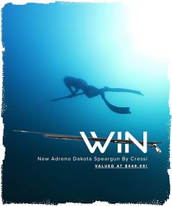 LAST CHANCE TO ENTER 🕐🕒🕔 Giveaway ends tonight! NEW Adreno Dakota Speargun by Cressi is now available 🔥 An open-muzzle railgun with dual-rubber capabilities and reverse mechanism designed for Australian spearos and diving conditions! To celebrate, we're giving away one of these babies valued at $449.99 to ONE lucky winner! All you have to do is: 1. Nominate a dive buddy in the comments (1 buddy = 1 entry) 2. Click here to enter the draw in Messenger 👉🏼 bit.ly/WIN-Adreno-Dakota That's it! �