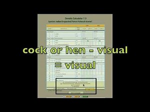 GENETIC CALCULATOR PART 1