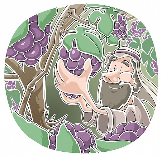 The Vine and the Branches (John 15:1-8) Sunday School Lesson and Activities